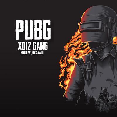 Pubg's cover