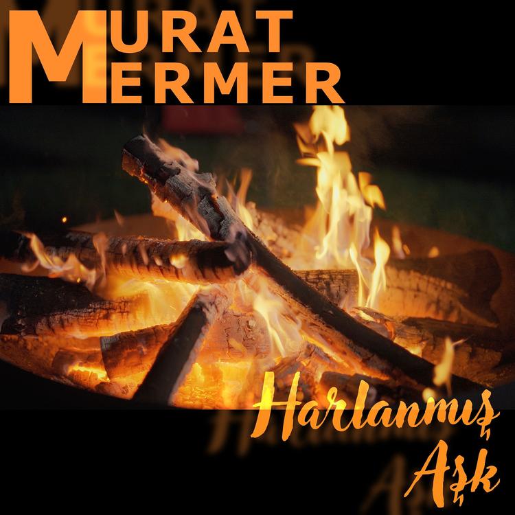 Murat Mermer's avatar image