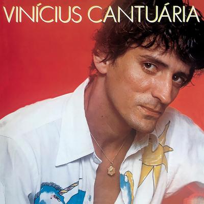 Vinícius Cantuária's cover