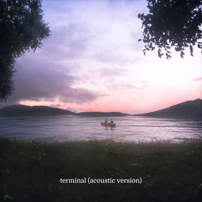 terminal (acoustic version)'s cover