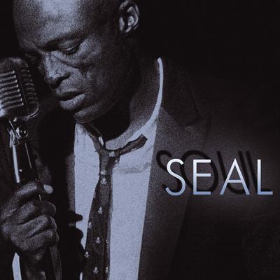 A Change Is Gonna Come By Seal's cover