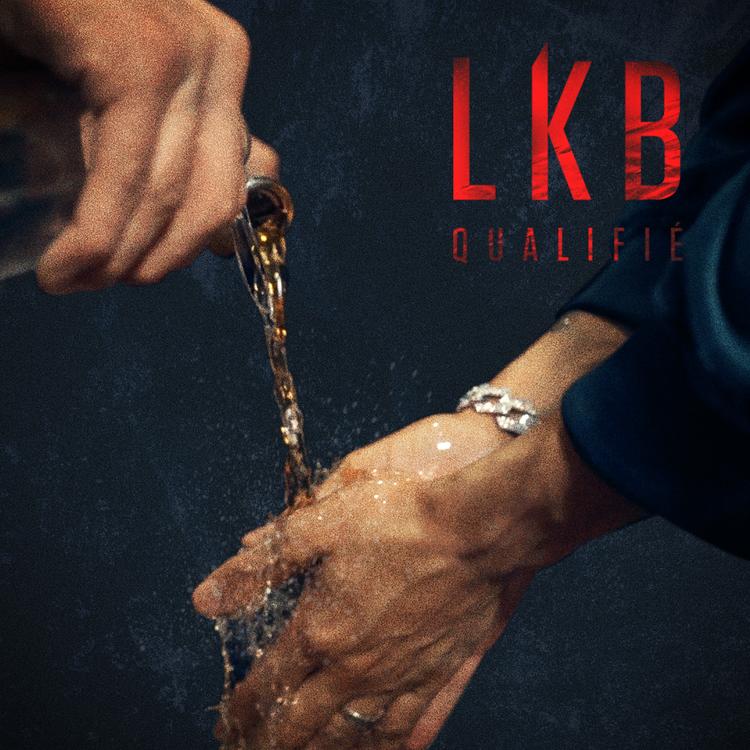 LKB's avatar image