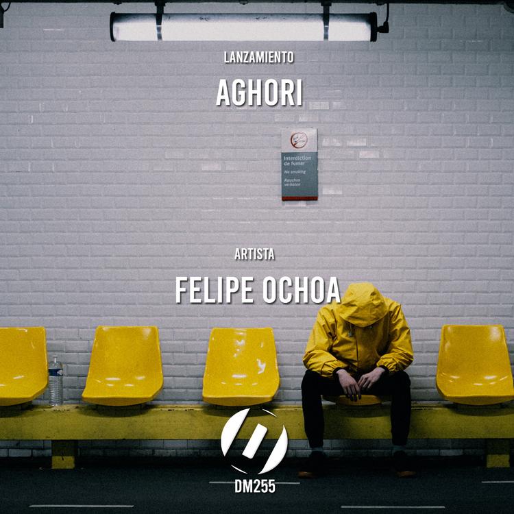 Felipe Ochoa's avatar image