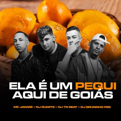 Ela É um Pequi Aqui de Goiás (feat. DJ TN Beat) (feat. DJ TN Beat) By DJ DUARTE, Dj Bruninho Pzs, DJ TN Beat's cover