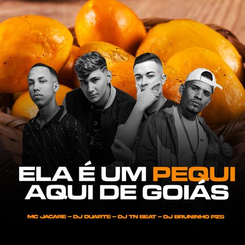 Ela É um Pequi Aqui de Goiás (feat. DJ T's cover