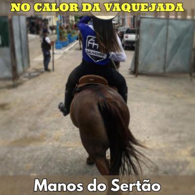 No Calor da Vaquejada (Cover)'s cover