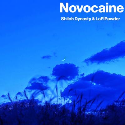 Novocaine By LoFiPøwder, Shiloh Dynasty's cover
