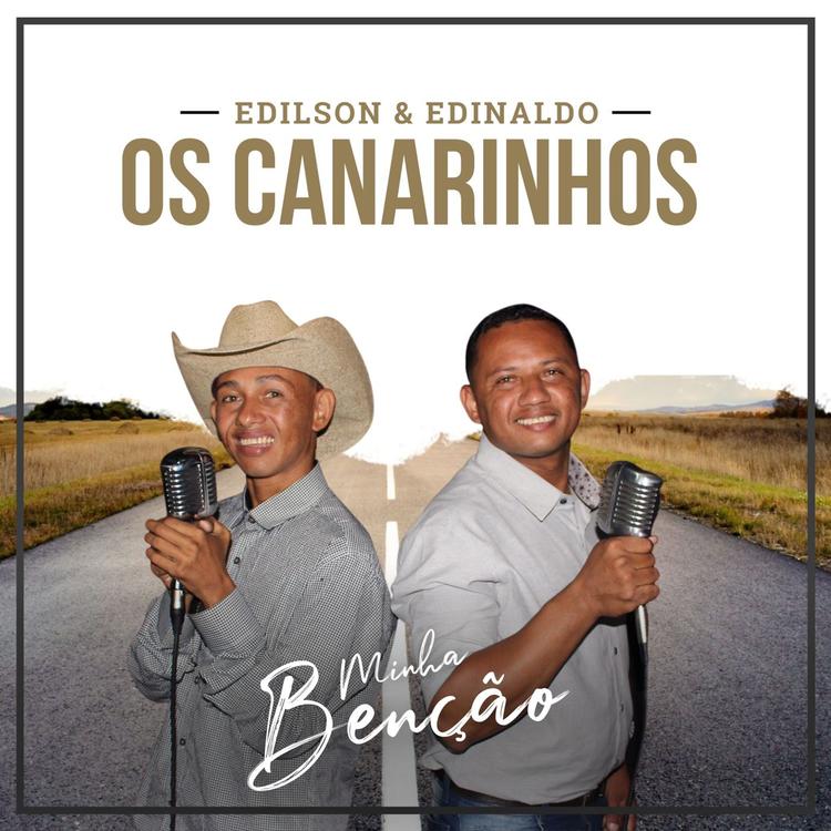 Os Canarinhos's avatar image