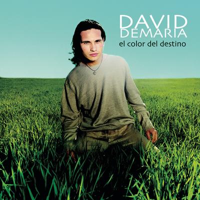 Complicada Sencillez (Album Version) By David DeMaría's cover