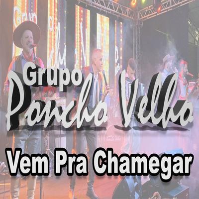 Vem pra Chamegar's cover