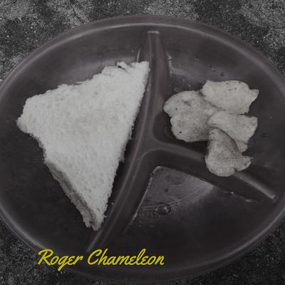 Roger Chameleon's cover