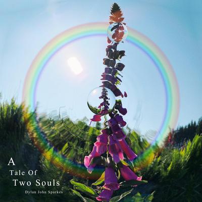 A Tale Of Two Souls's cover