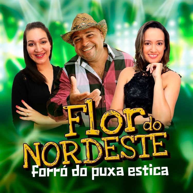 Forró Flor do Nordeste's avatar image