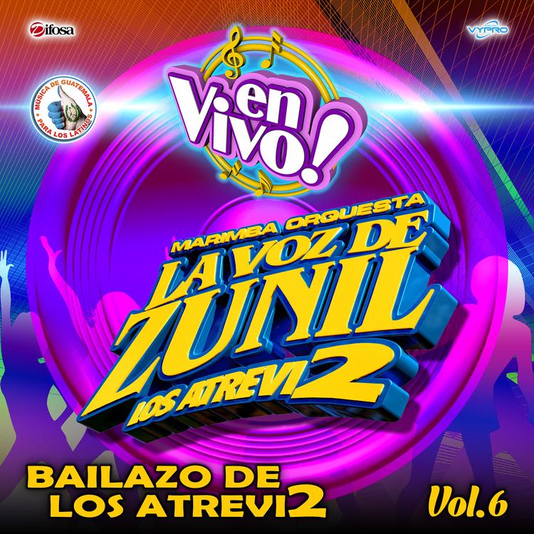 Marimba Orquesta La Voz de Zunil's avatar image