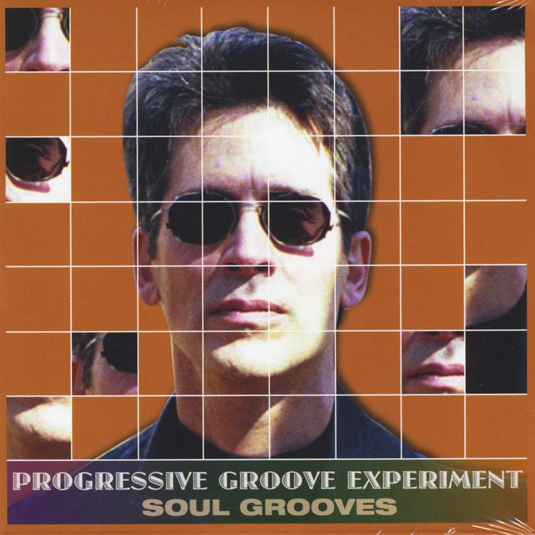 Progressive Groove Experiment's avatar image