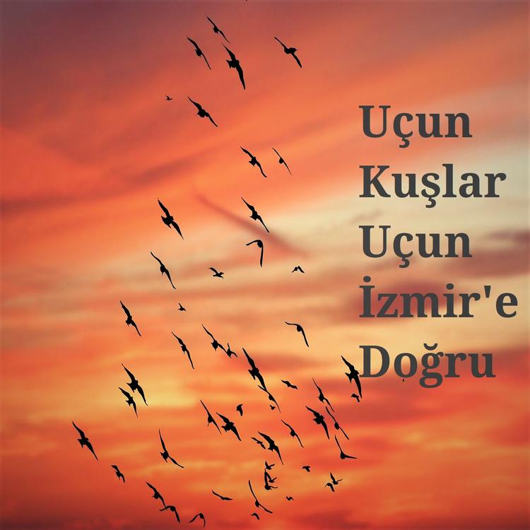 Fon İstanbul's avatar image