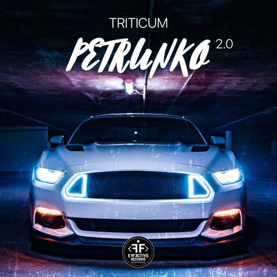 Petrunko 2.0's cover