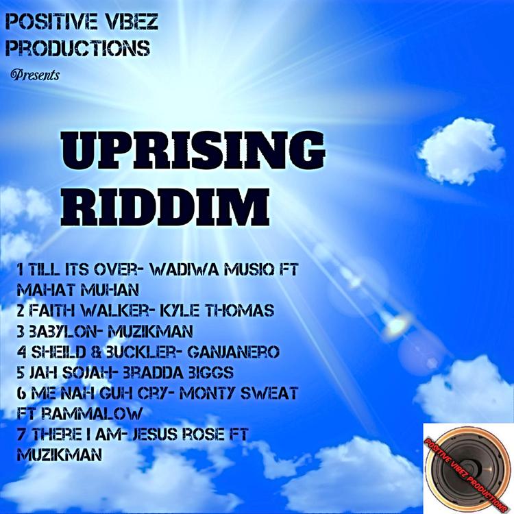 Positive Vibez Productions's avatar image