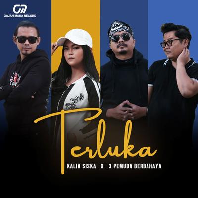 Terluka's cover