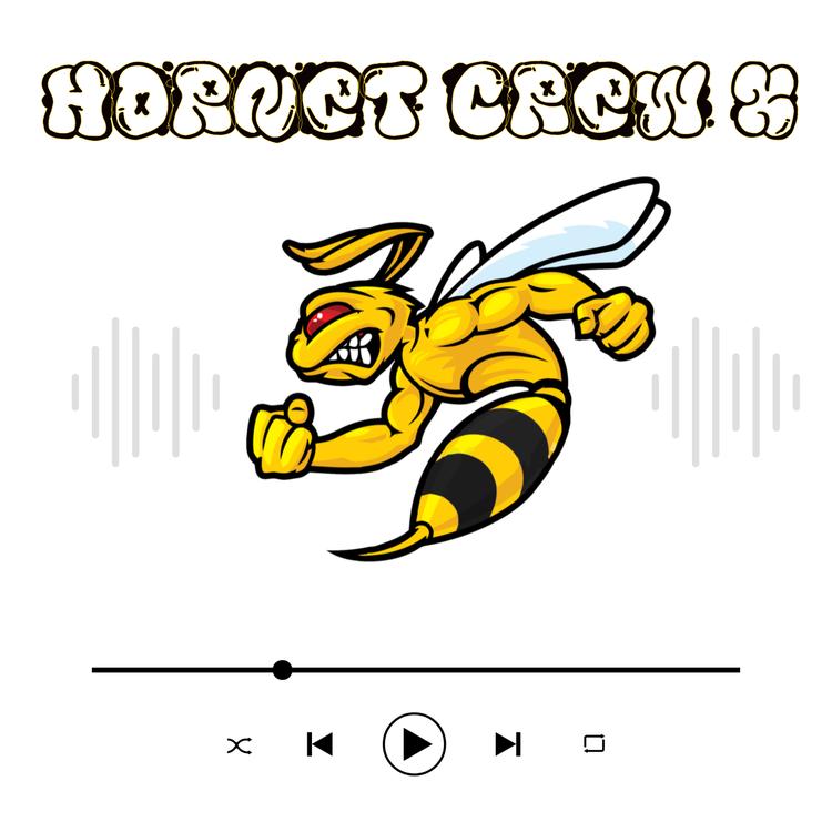 Hornet Crew's avatar image