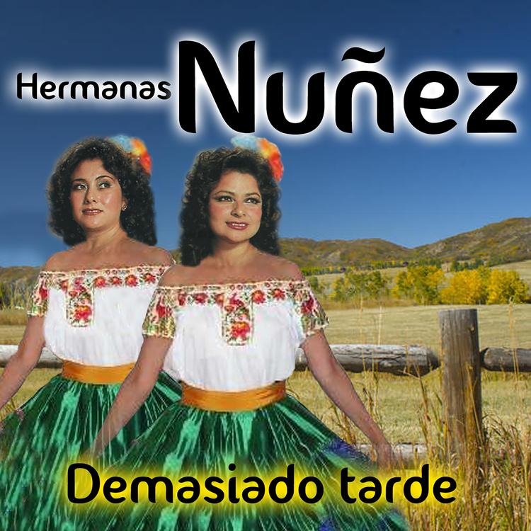 Hermanas Nunez's avatar image