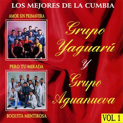 Los Mejores De La Cumbia's cover