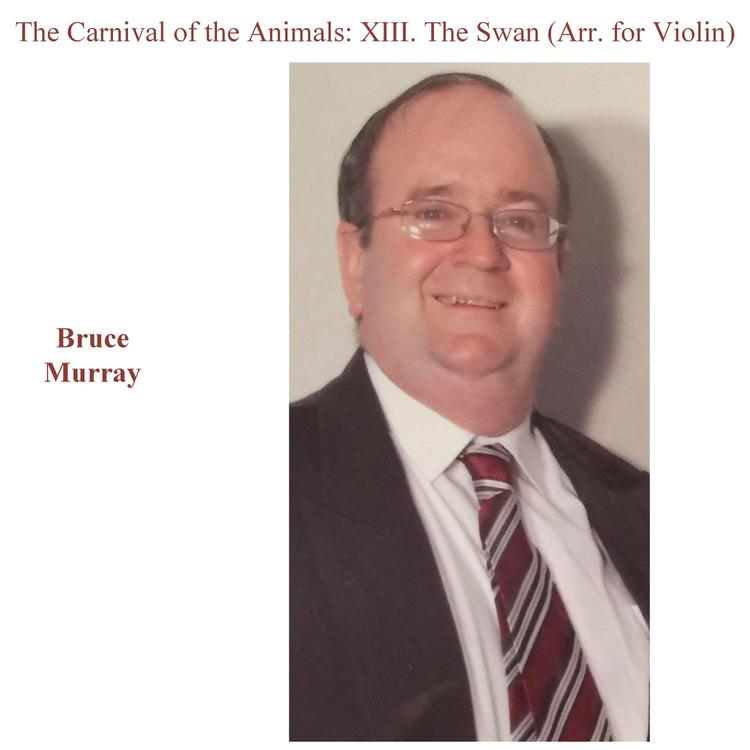 Bruce Murray's avatar image