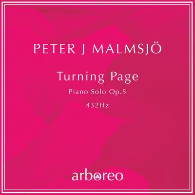 Turning Page By Peter J. Malmsjö's cover