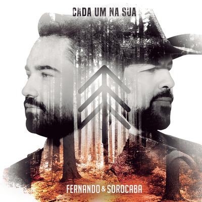 Cada um na Sua (Ao Vivo) By Fernando & Sorocaba's cover