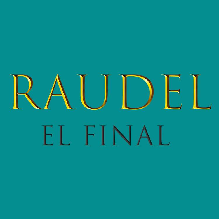 Raudel's avatar image