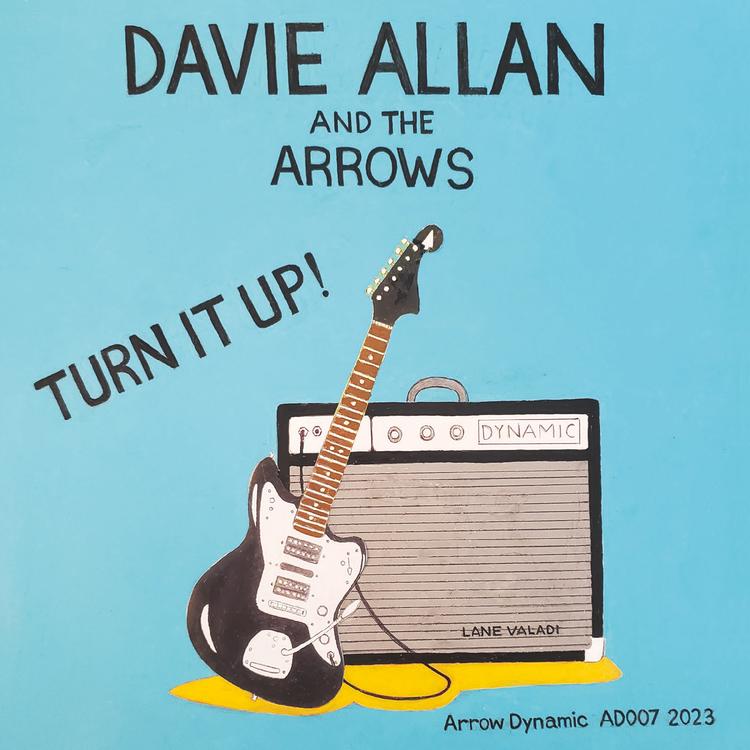 Davie Allan and The Arrows's avatar image