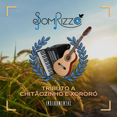 Tributo a Chitãozinho e Xororó By Som Rizzo, Jones Luiz's cover