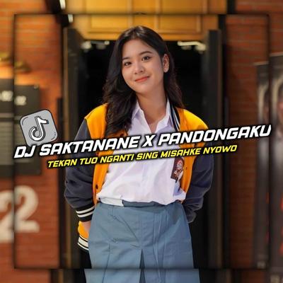 DJ SAKTANANE X PANDONGAKU TEKAN TUO's cover