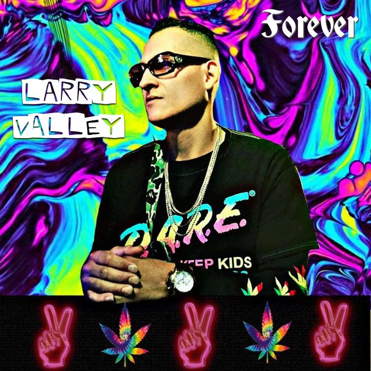 Larry Valley's avatar image