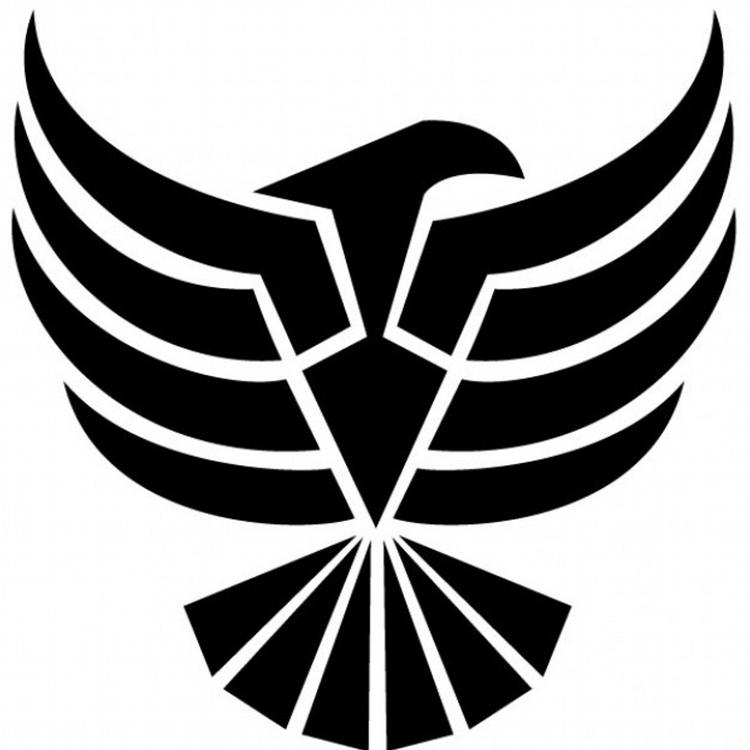 Phoenix Infinity's avatar image