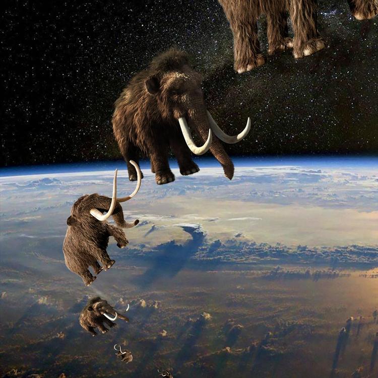 Mammoth in Space's avatar image
