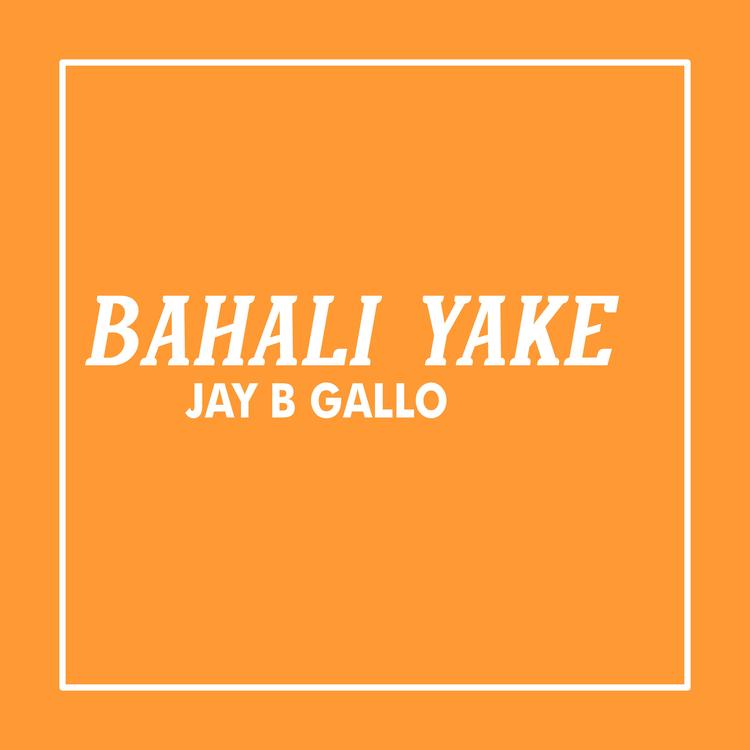 Jay B Gallo's avatar image