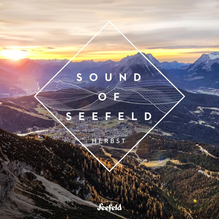 Sound of Seefeld's avatar image