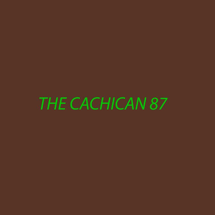 THE CACHICAN 87's avatar image