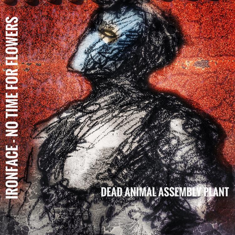 Dead Animal Assembly Plant's avatar image