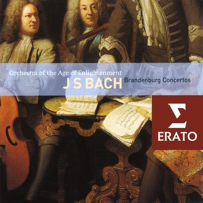 Brandenburg Concerto No. 6 in B-Flat Major, BWV 1051: II. Adagio ma non tanto By Monica Huggett, John Toll, Pavlo Beznosiuk, Richard Campbell, Richard Tunnicliffe, Sarah Cunningham, William Hunt's cover