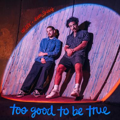 too good to be true's cover