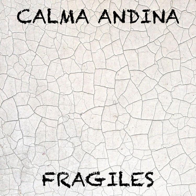 Calma andina's avatar image