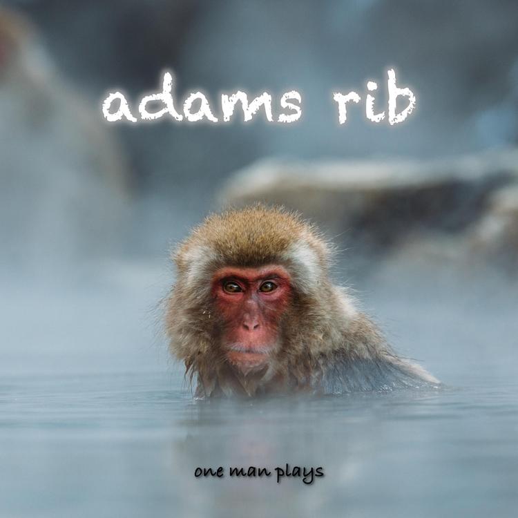 Adams Rib's avatar image