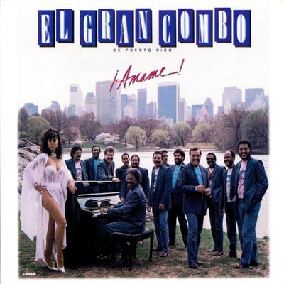 Aguacero By El Gran Combo's cover