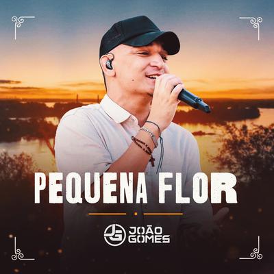 Pequena Flor By João Gomes's cover
