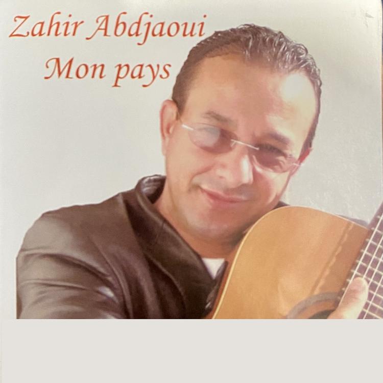 Zahir Abdjaoui's avatar image