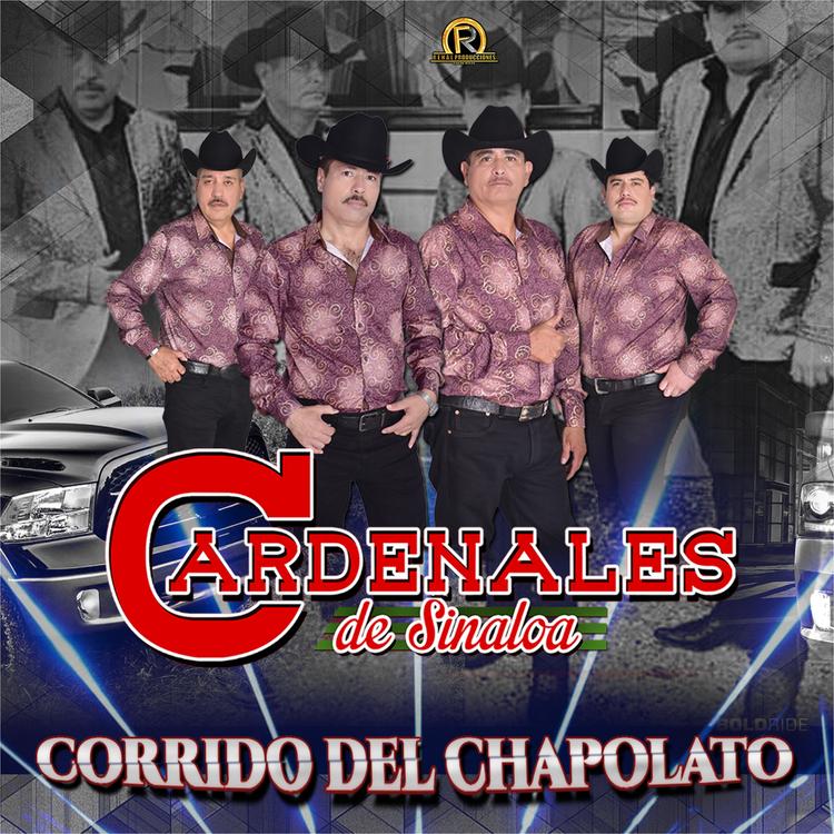 Cardenales de Sinaloa's avatar image