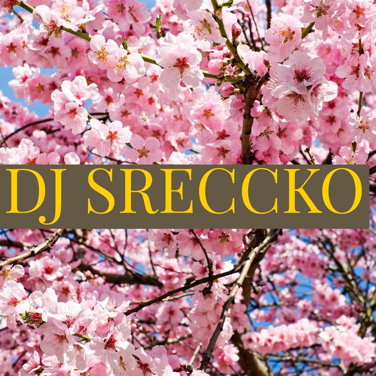DJ SRECCKO's avatar image