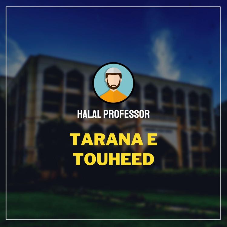 halal professor's avatar image